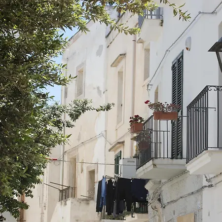 Santa Maria 24