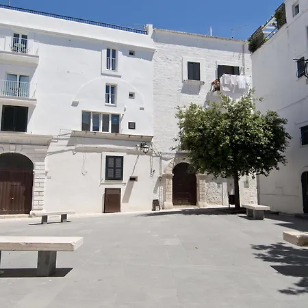 Santa Maria 24 *